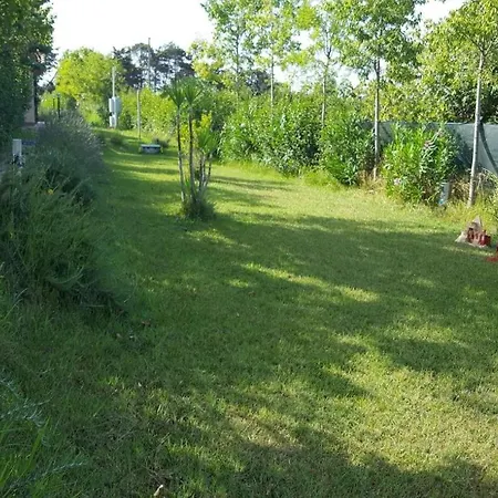 Glamping Agricampeggio Tognoni La Sdriscia