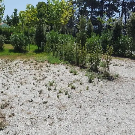 Glamping Agricampeggio Tognoni