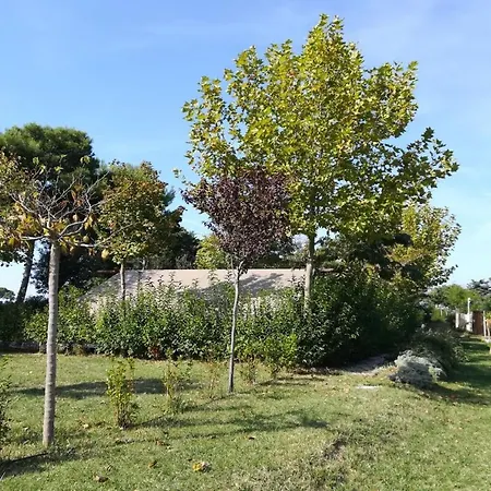Camping Glamping Agricampeggio Tognoni *