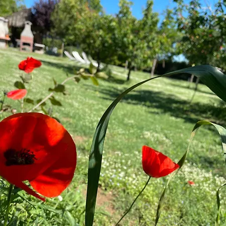 Glamping Agricampeggio Tognoni La Sdriscia
