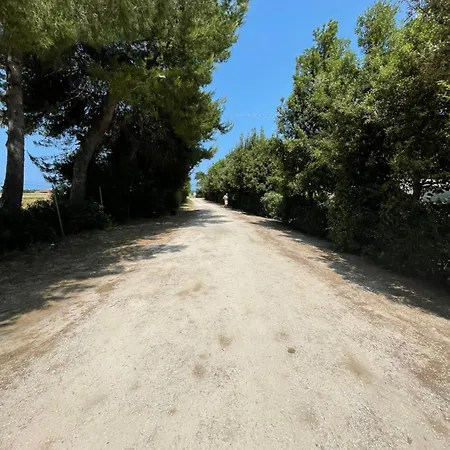 Glamping Agricampeggio Tognoni * La Sdriscia