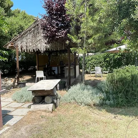Camping Glamping Agricampeggio Tognoni *