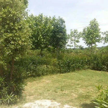 Glamping Agricampeggio Tognoni