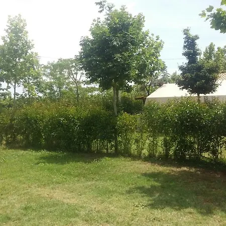 Glamping Agricampeggio Tognoni La Sdriscia