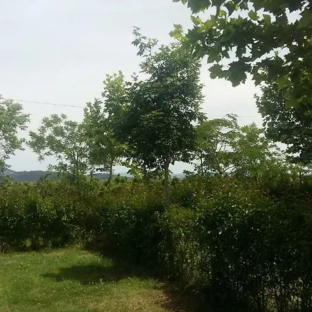 Glamping Agricampeggio Tognoni *